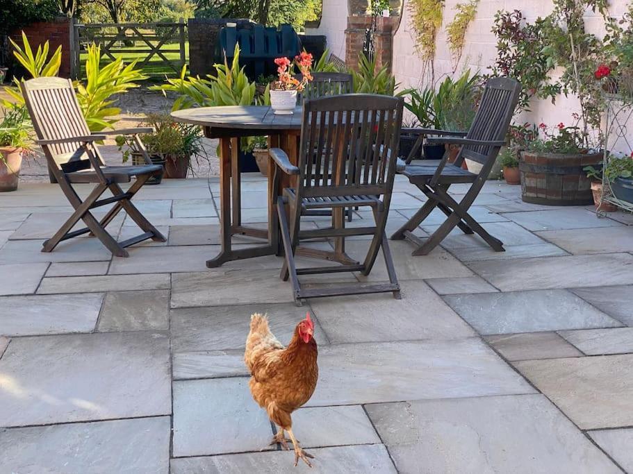 Cottage Barn Conversion On Working Farm Worcester Esterno foto