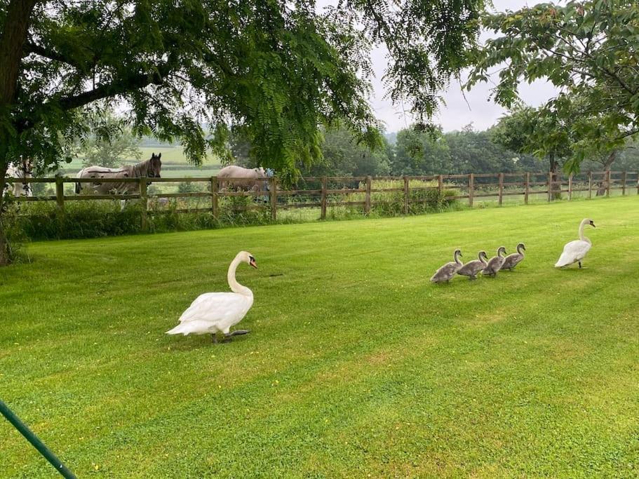 Cottage Barn Conversion On Working Farm Worcester Esterno foto